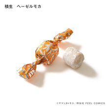 Load image into Gallery viewer, Tomoko Yamashita / Foreign Country Diary Chocolate 2024 Complete Set