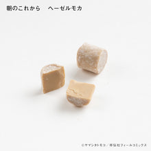 Load image into Gallery viewer, Tomoko Yamashita / Diary of a Different Country Chocolate 2023 Set